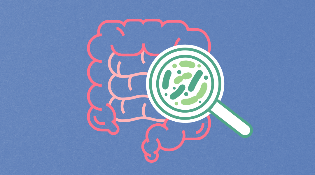 Gut Health: There isn’t an infection in your gut, or is there?