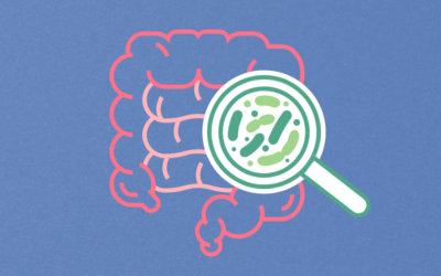 Gut Health: There isn’t an infection in your gut, or is there?