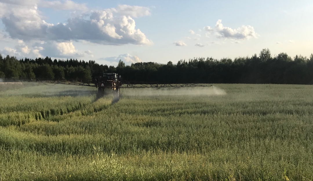 Glyphosate: The Health Risks of the Most Common Herbicide