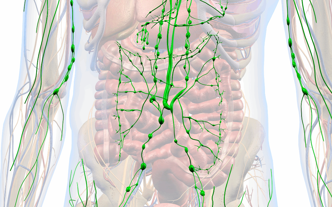 Your Lymphatic Reset: Daily Steps to Support Detox