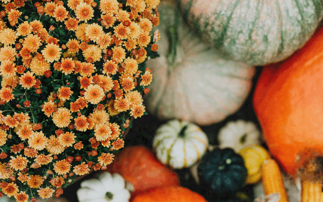 A Thanksgiving Reset: Finding Health in Gratitude, Connection, and Balance