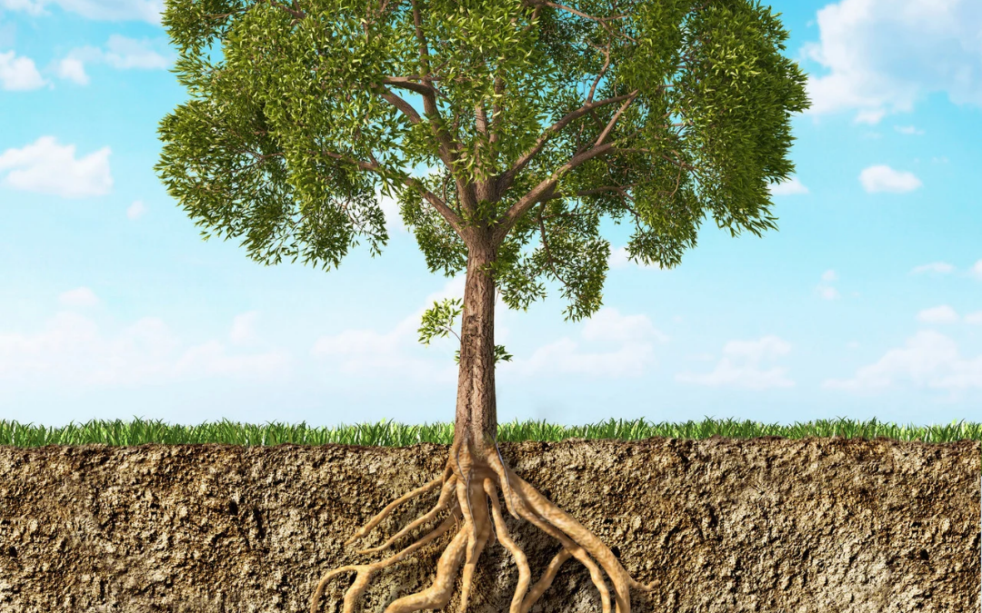 The 4 Root Causes That May Be Driving Your Symptoms